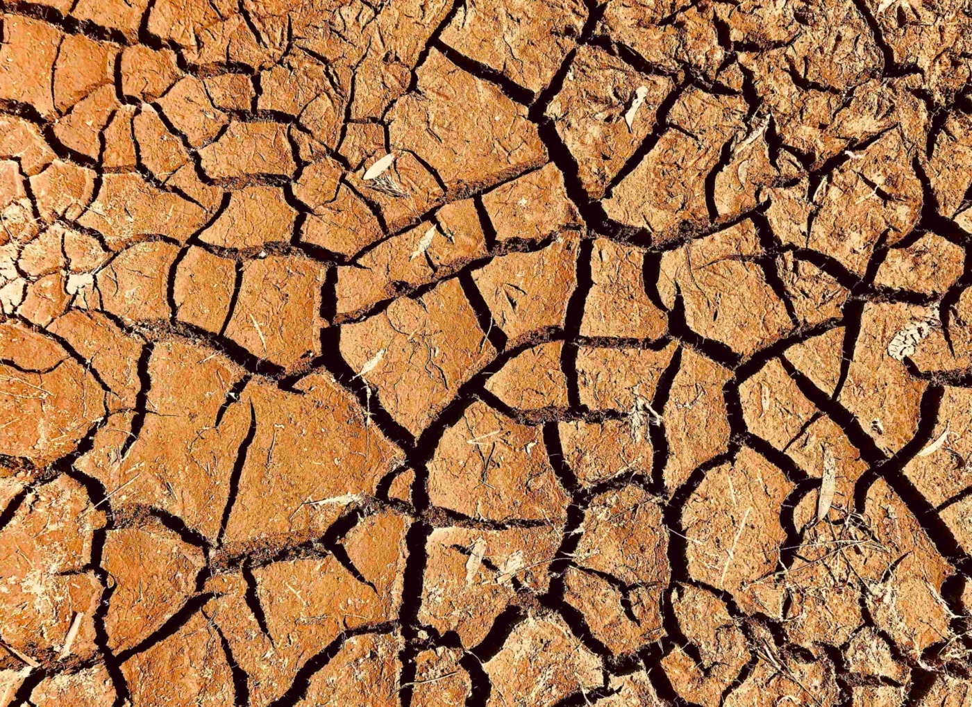 Drought