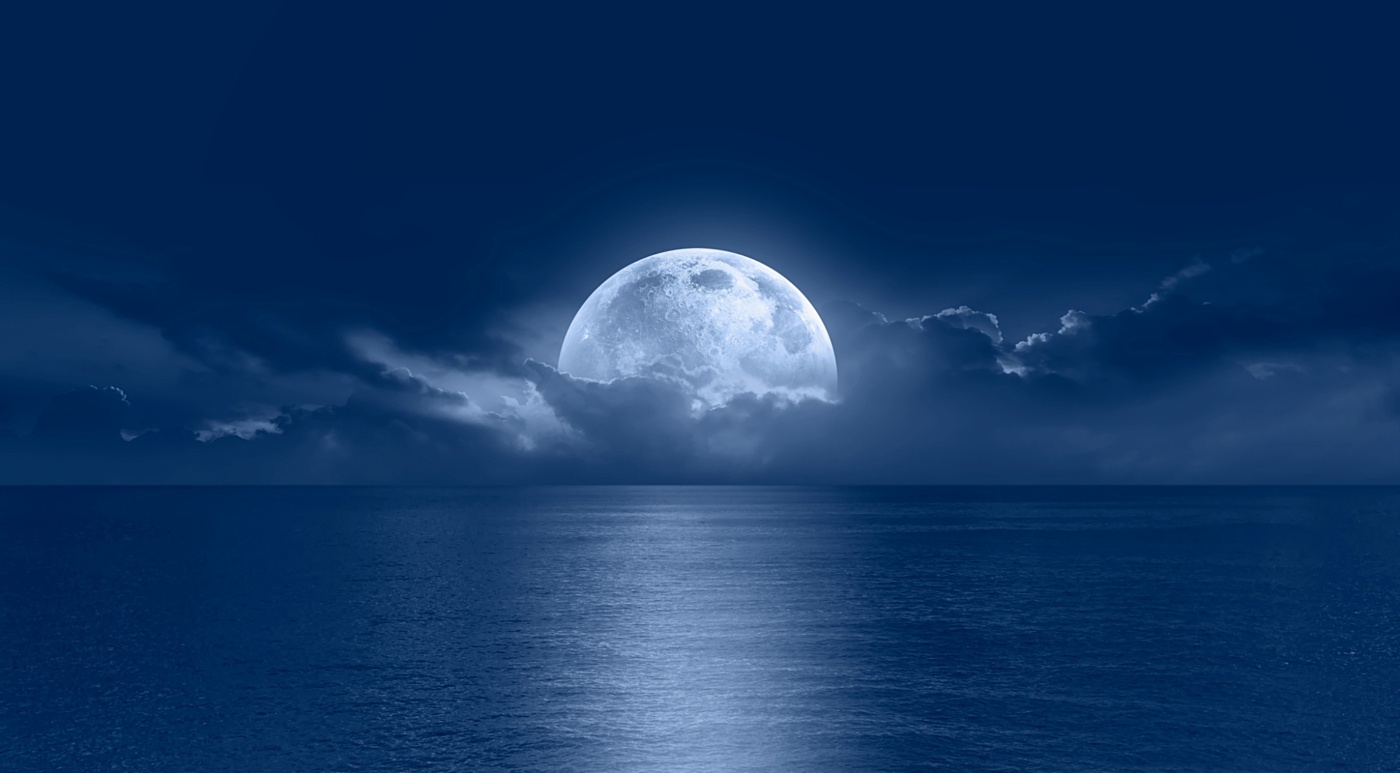 Moonshot