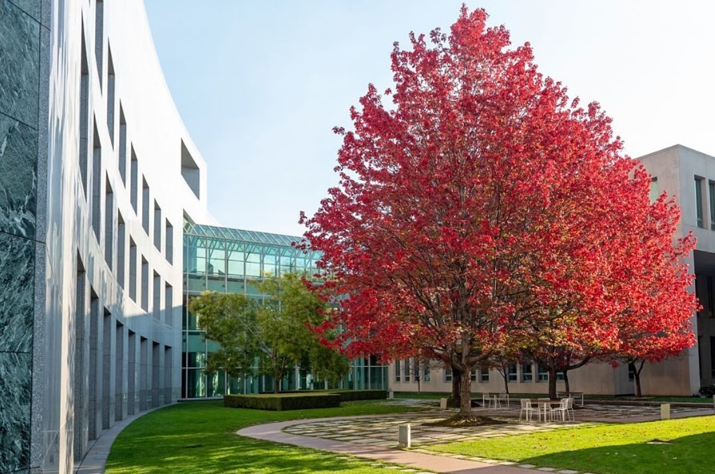 Parliament House budget tree