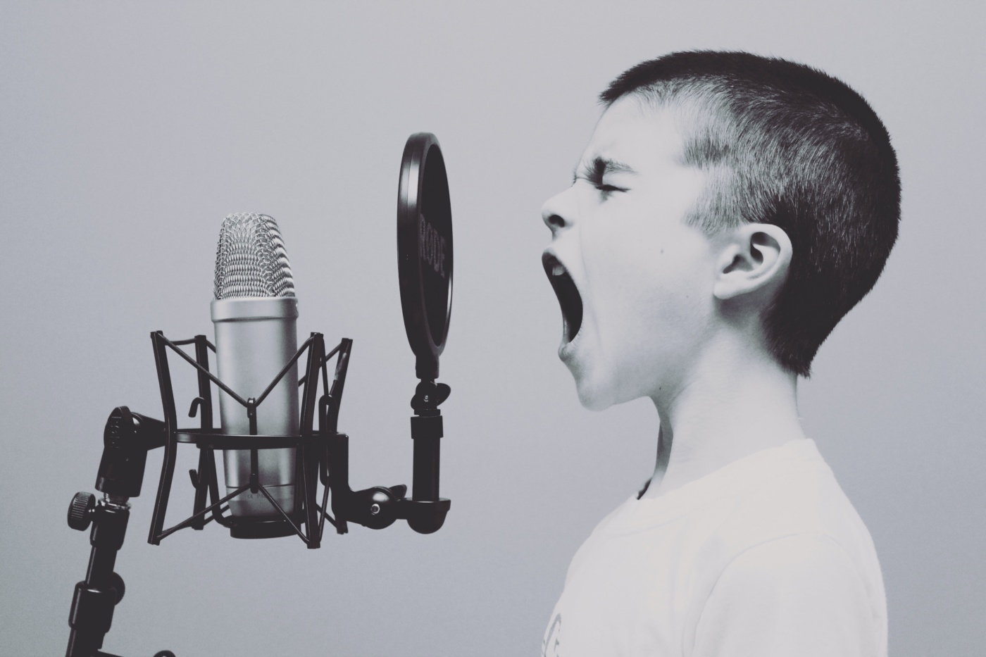Voice microphone