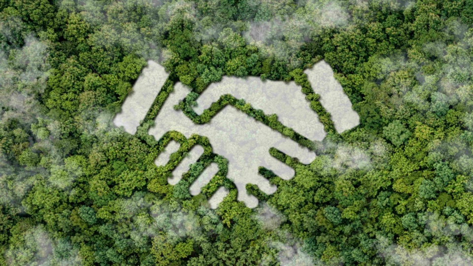 Fate of environmental law charity in hands of ACNC