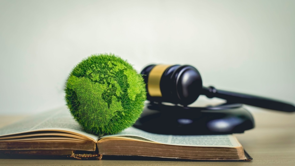 Climate in the courtroom