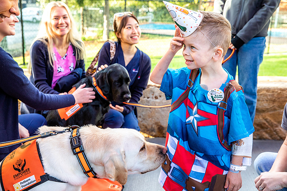 Family pets speed hospitalised kids’ recovery