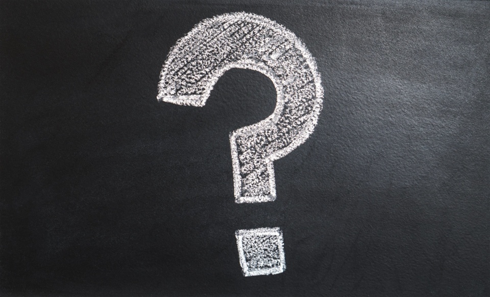Saddle up for our state of the sector quiz