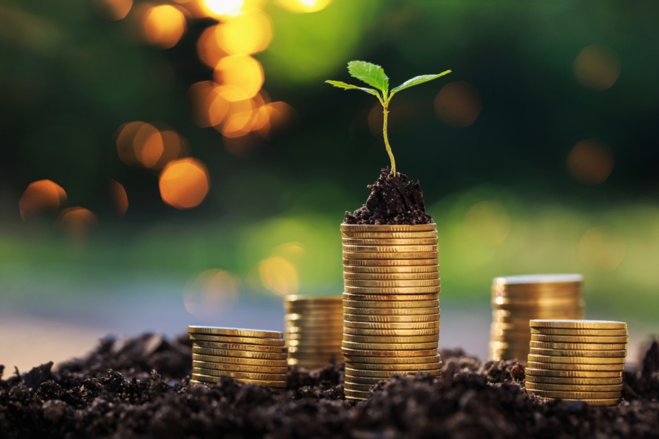 Profit’s not a dirty word for not-for-profits
