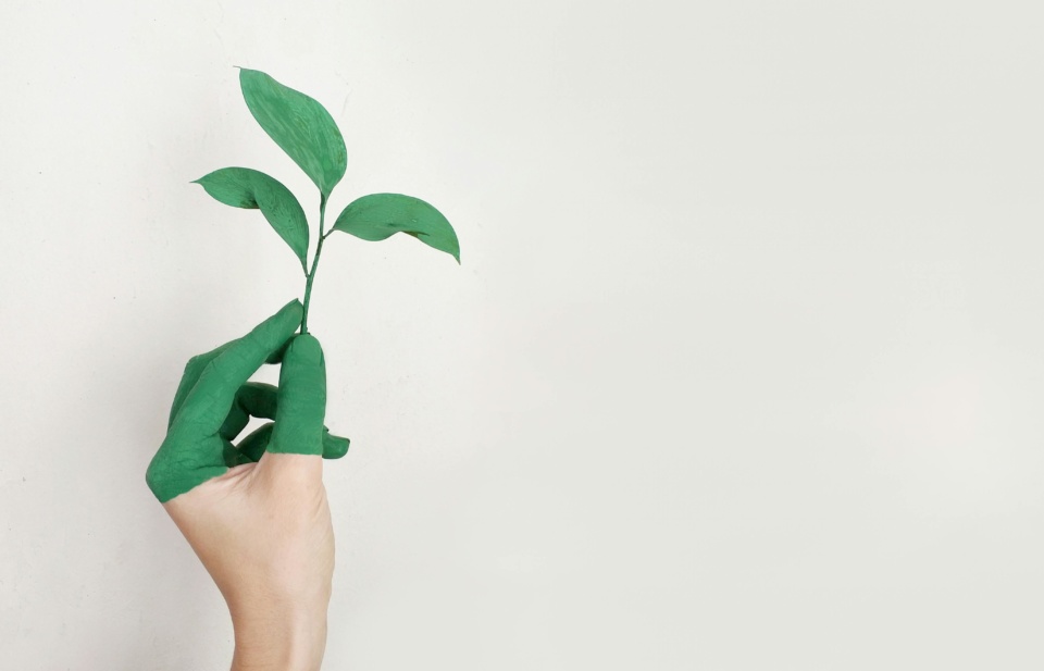 Church doubles down on ethical investment advice