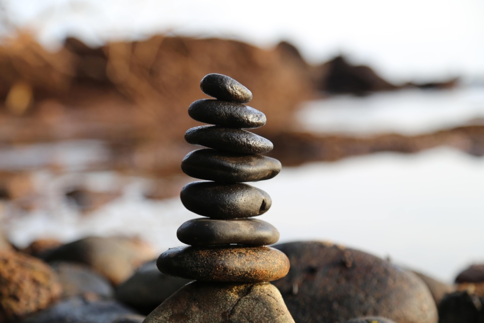 Working for purpose deserves its own reward