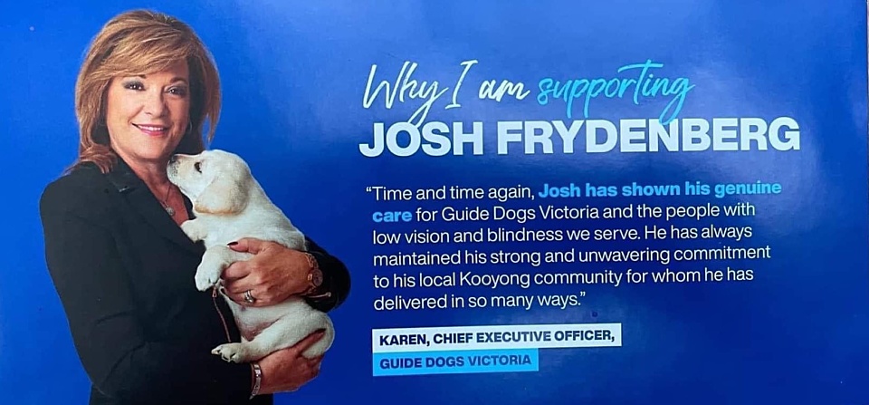 Guide Dogs lose their way