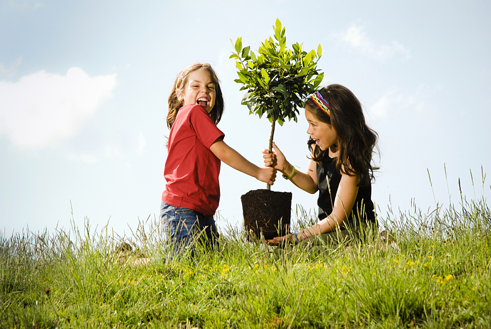 To improve charitable work, share the lessons – and allow the right to fail