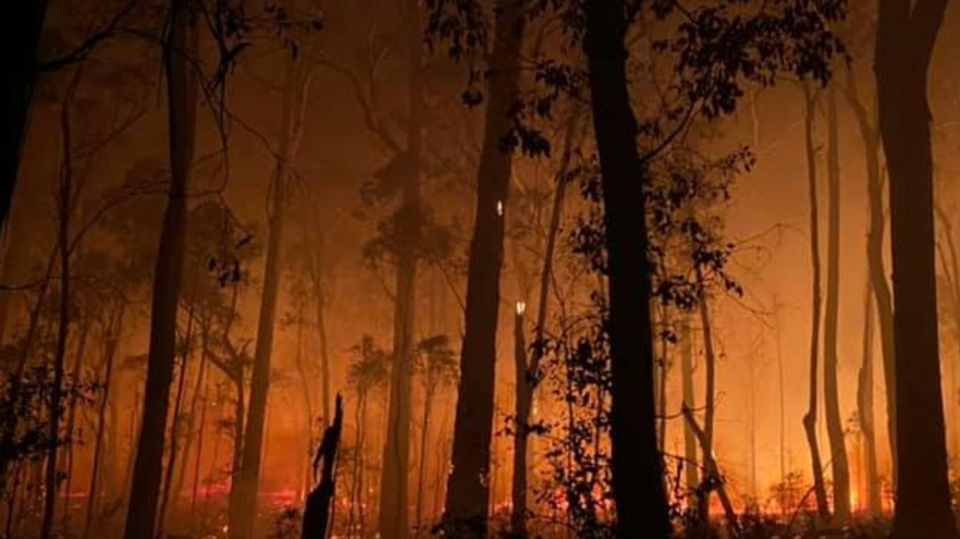 Facebook fundraising spikes after bushfires