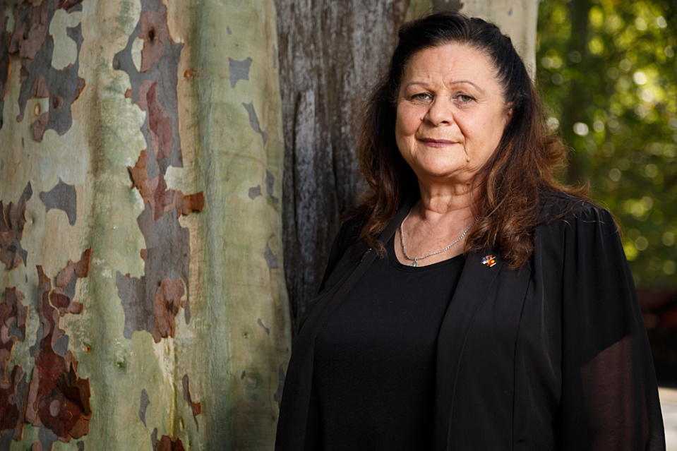 Advocates step up to give Indigenous groups a Voice