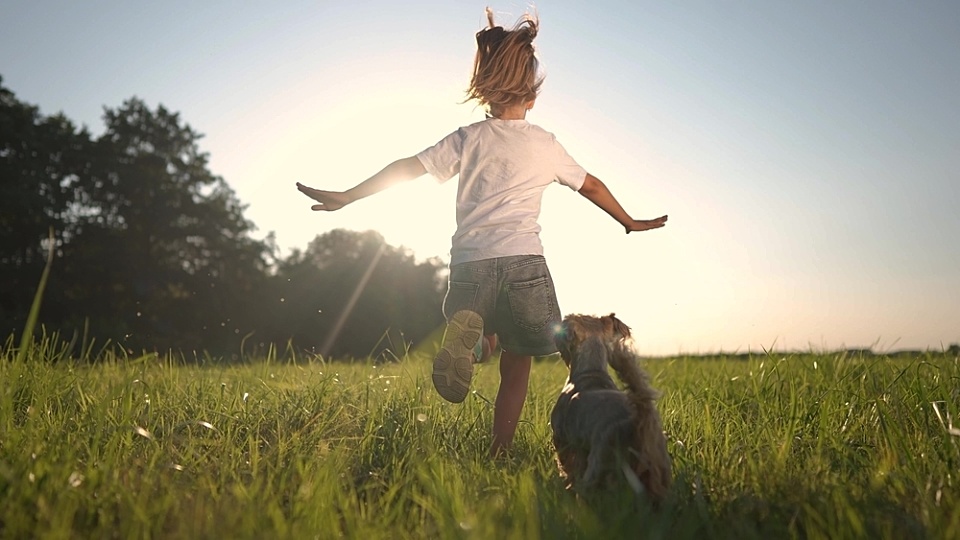 Social impact practitioners prove why they are the best